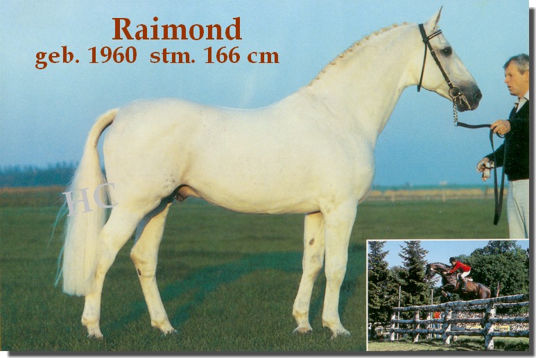 Raimond